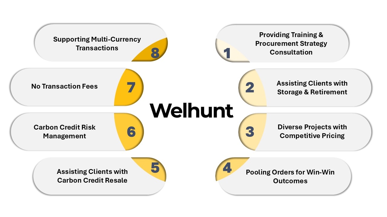 Our Carbon Services_2-1